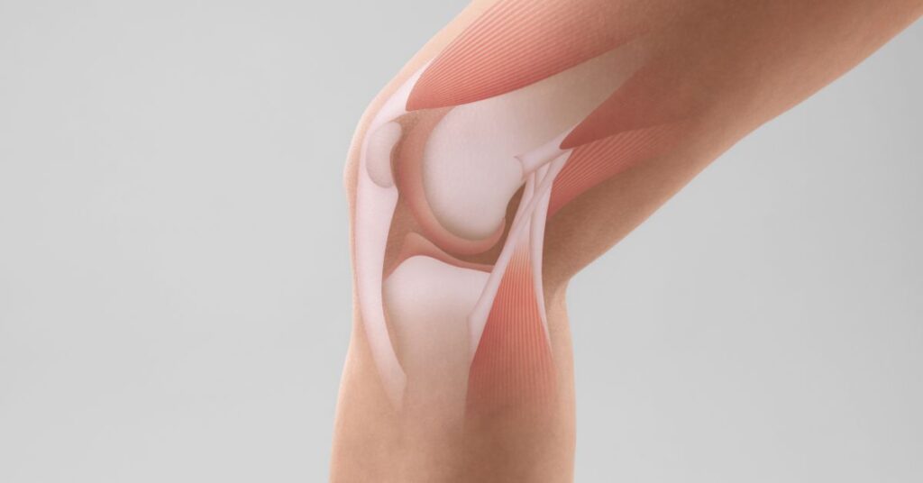 Ortopedista Especialista em Joelho Dr. Luiz Gabriel Atendimento de Alto Padrão em Ortopedia do Joelho. Realização de Cirurgias e Procedimentos. Experiência e Dedicação. Resultados Precisos. 3 1 Cirurgia de Menisco em Sao Paulo | Ortopedista Especialista em Joelho Dr. Luiz Gabriel | Atendimento de Alto Padrão em Ortopedia do Joelho. Realização de Cirurgias e Procedimentos. Experiência e Dedicação. Resultados Precisos.